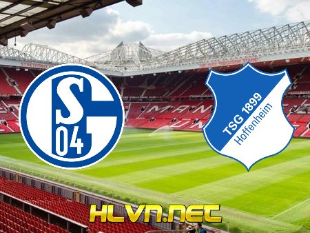 Soi kèo nhà cái, Tỷ lệ cược Schalke 04 vs Hoffenheim – 21h30 – 09/01/2021