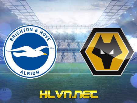 Soi kèo nhà cái, Tỷ lệ cược Brighton vs Wolves – 02h30 – 16/11/2021